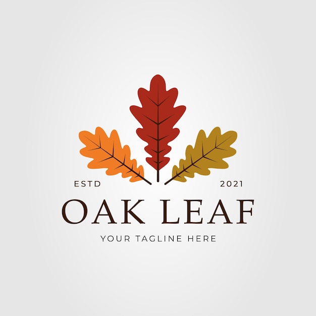 Vintage oak leaves logo vector illustration design