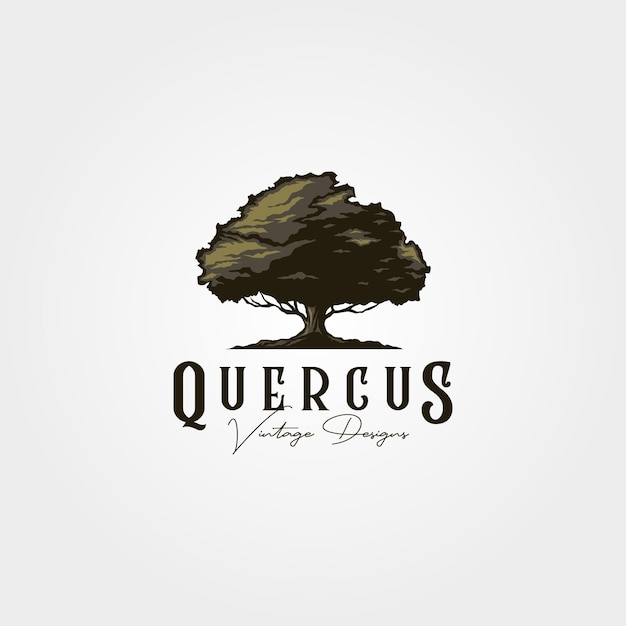 Vintage oak tree logo vector illustration design