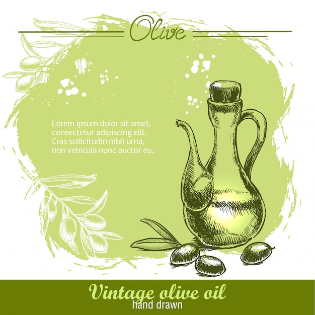 Bottiglia di olio d'oliva vintage con ramo d'ulivo.