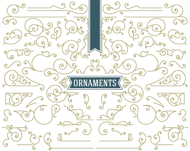 Vector vintage ornaments scrolls and swirls decorations design elements set