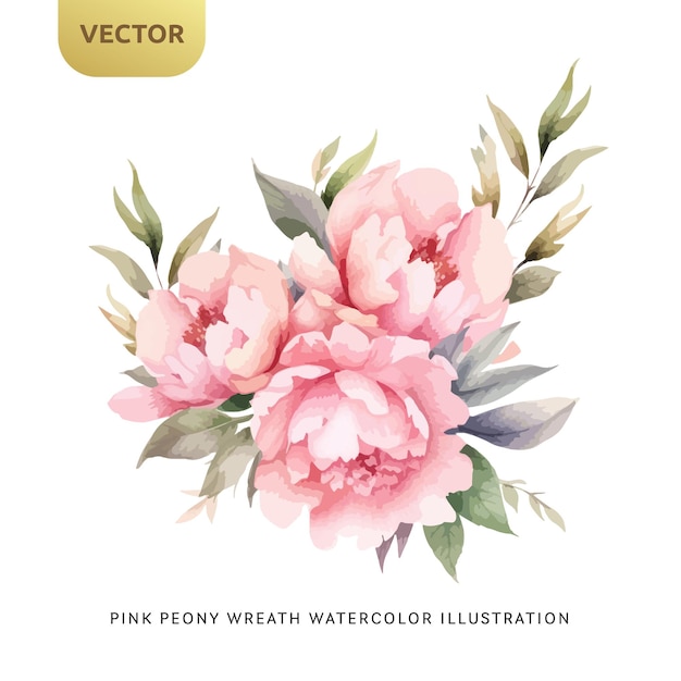 Vintage Pink Peony Flowers Watercolor isolated on white background Decorative floral element for wedding valentine or love invitation Vector illustration