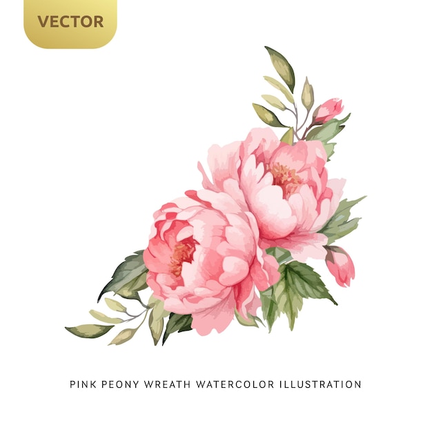 Vector vintage pink peony flowers watercolor isolated on white background decorative floral element for wedding valentine or love invitation vector illustration