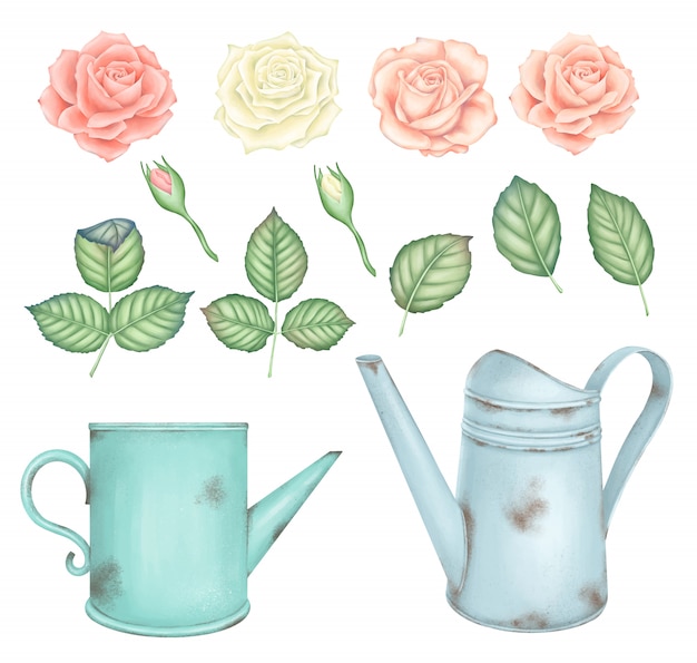 Vector vintage pink and white roses and rusty watering can set