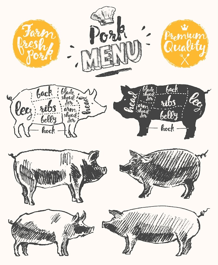 Vector vintage restaurant meat menu template. american scheme of pork cuts, hand drawn vector illustration.