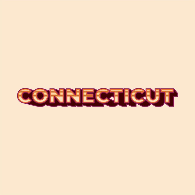 Vector vintage retro connecticut vector design