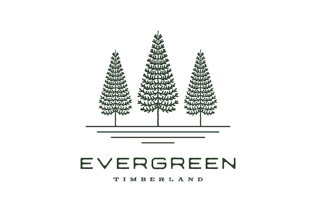 Vintage retro hipster line art pine evergreen fir hemlock spruce conifer cedar coniferous cypress larch trees forest logo design vector