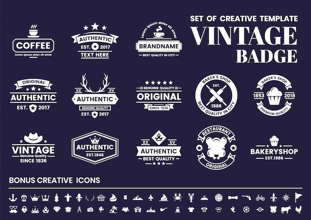 Vector vintage retro logo, badge en icon set