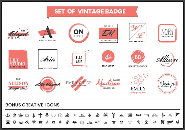 Vector vintage retro logo en icon set