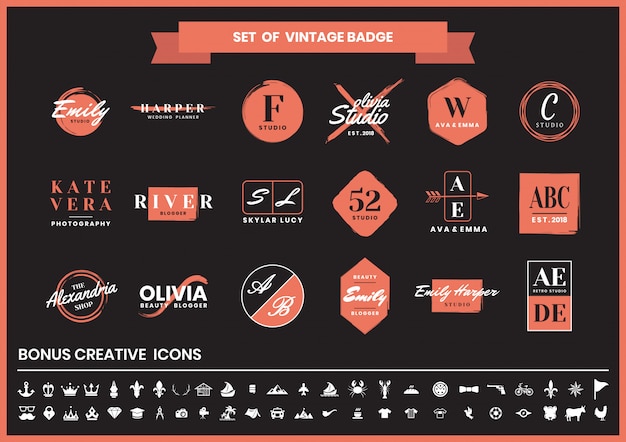 Vector vintage retro logo en icon set