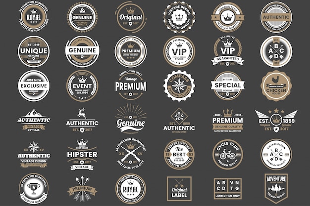 Vector vintage retro vector logo for banner