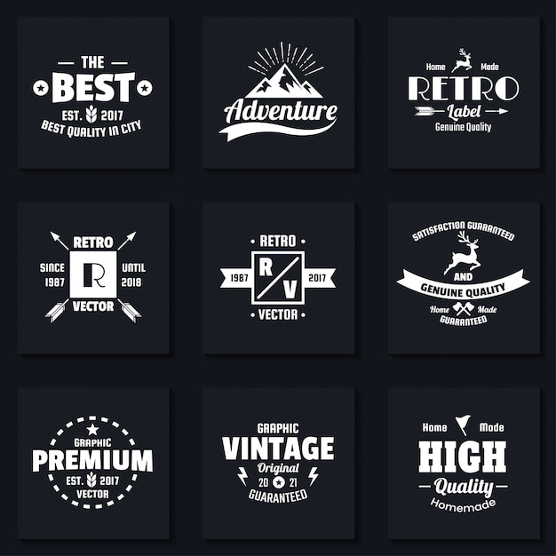 Vector vintage retro vector logo for banner