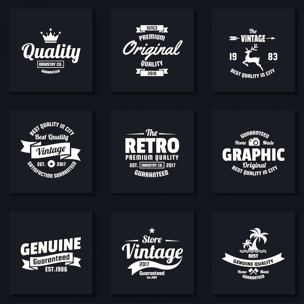 Vector vintage retro vector logo for banner