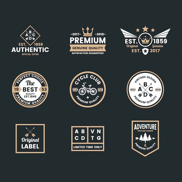 Vector vintage retro vector logo for banner