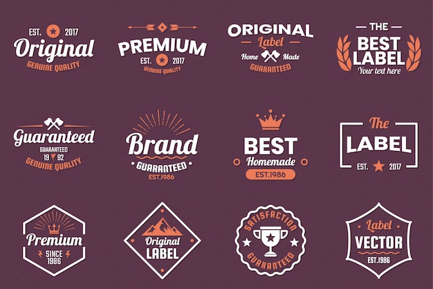 Vector vintage retro vector logo for banner