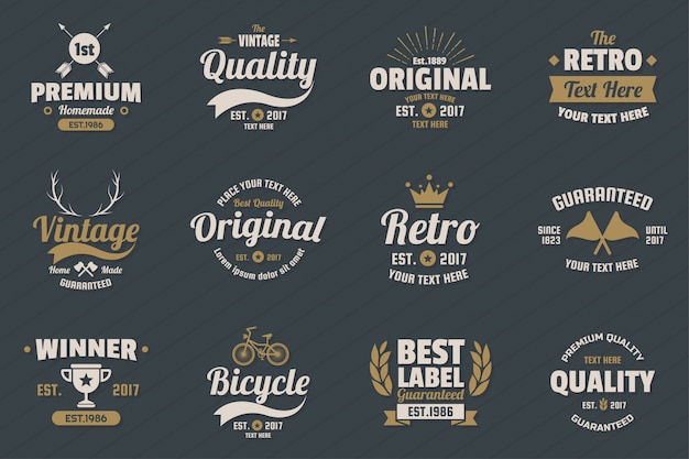 Vector vintage retro vector logo for banner