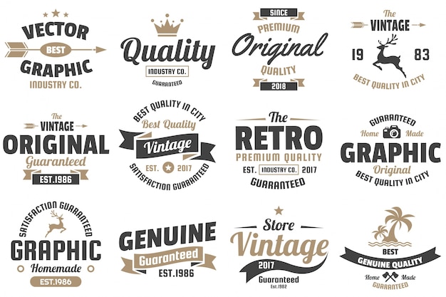 Vintage retro vector logo для баннера