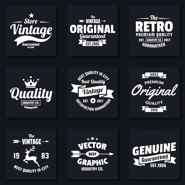 Vintage retro vector logo для баннера