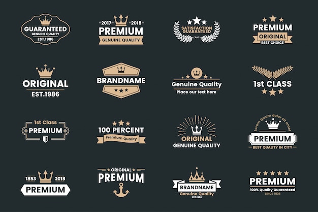 Vintage retro vector logo voor banner