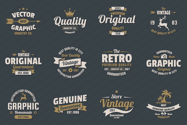 Vector vintage retro vector logo