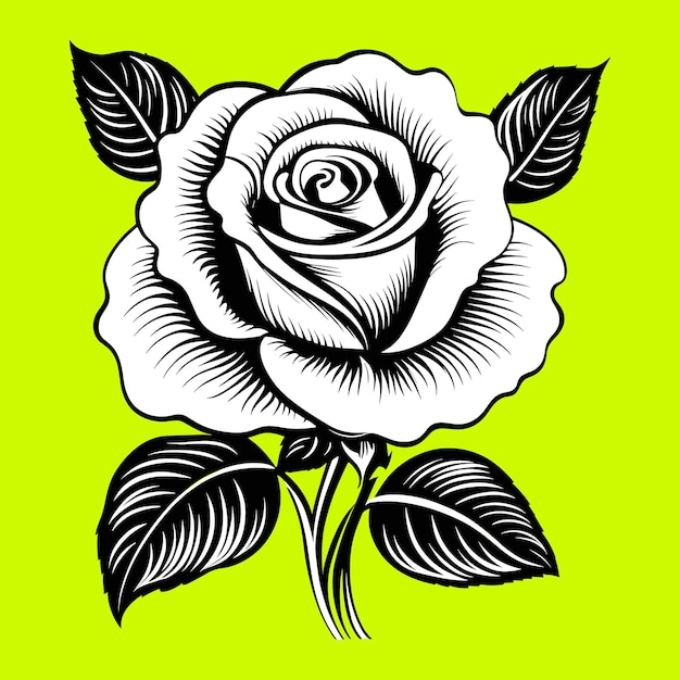 vintage rose vector illustration design