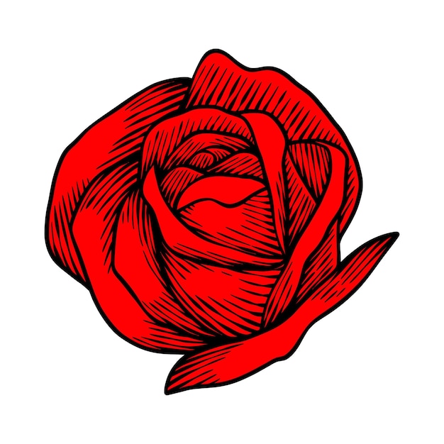 Illustrazione del disegno a mano del fiore delle rose dell'annata