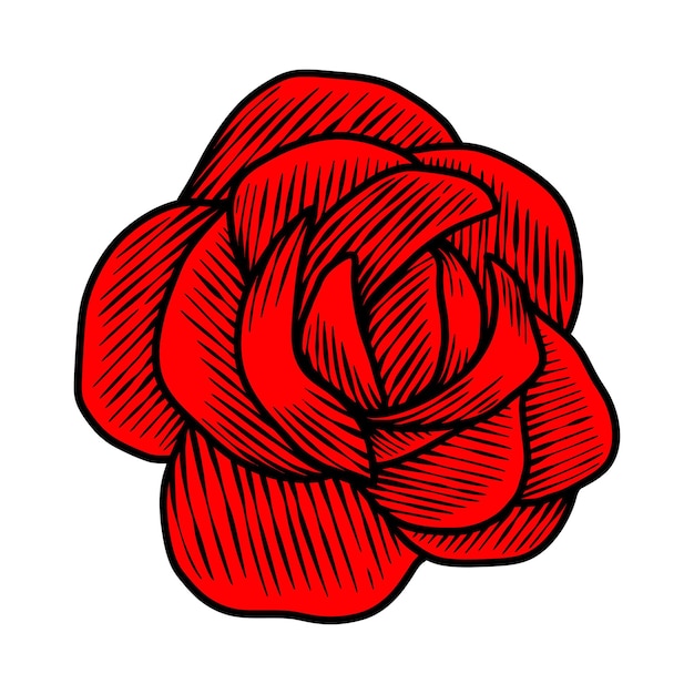 vintage roses flower hand drawing illustration