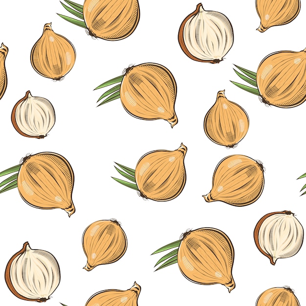 Vintage seamless pattern with onion.  