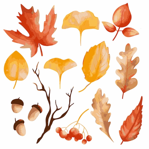 Vector vintage set of watercolor autumn elements leaves branch acorn yellow gold red colors vintage