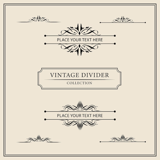 Vector vintage sierframes en labels-collectie decoratieve elementen voor design