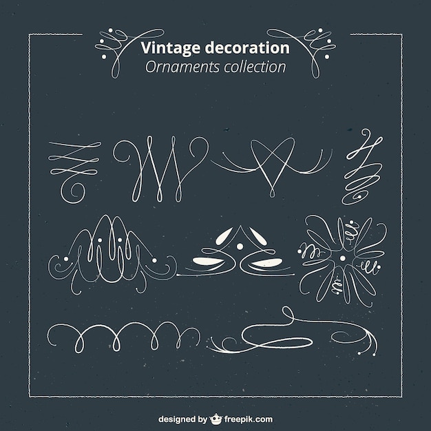 Vintage Sketches Decoration