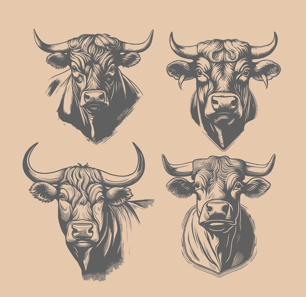 Vintage stier hoofd vector set