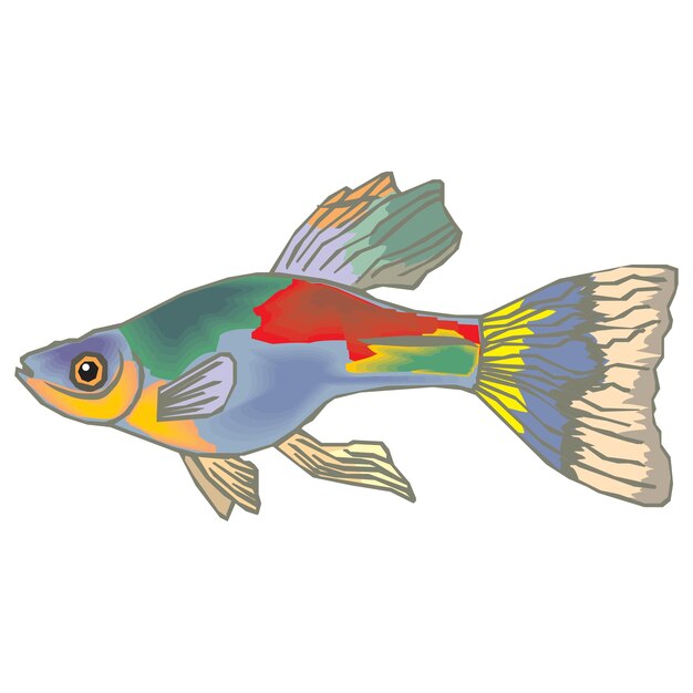 Vector vintage style creative colorful fish vector illustration design 27