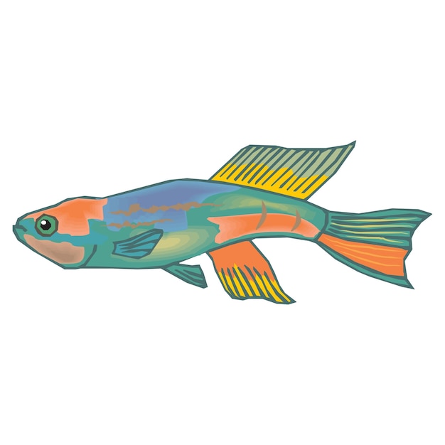 Vector vintage style creative colorful fish vector illustration design 29