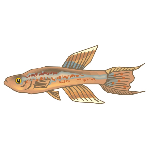 Vector vintage style creative colorful fish vector illustration design 32