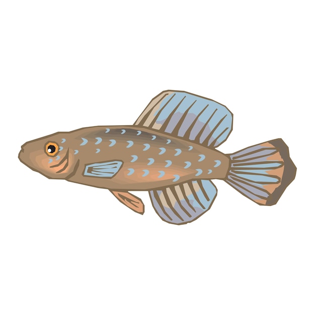 Vector vintage style creative colorful fish vector illustration design 46