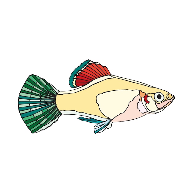 vintage style creative colorful fish vector illustration design 48