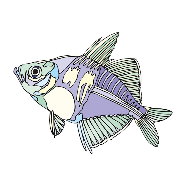 Vector vintage style creative colorful fish vector illustration design 4