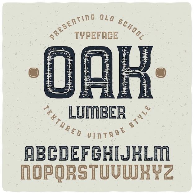 Vector vintage textured typeface