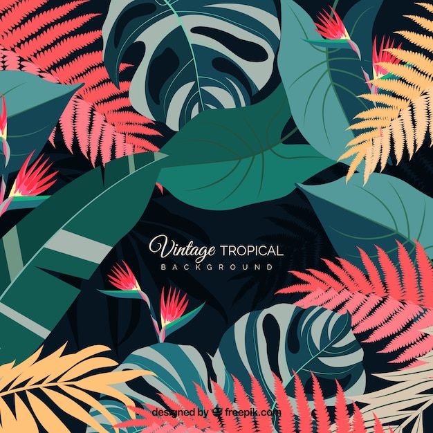 Vintage tropical leaves background