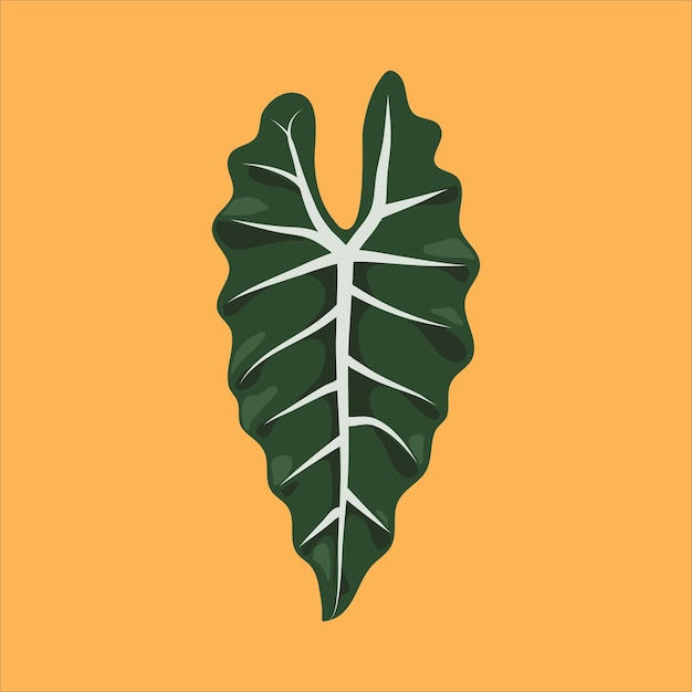 Vintage vector botanical illustration tropical exotic plant jungle foliage alocasia leaves