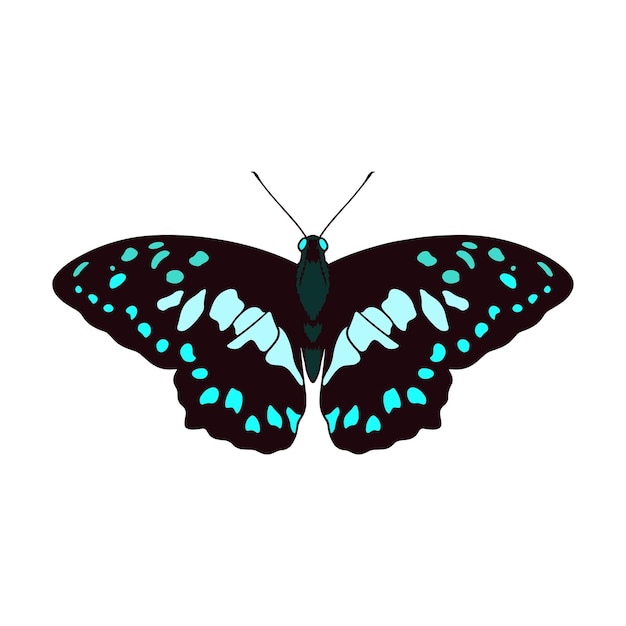 Vintage Vector Butterfly Illustration