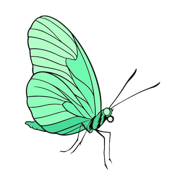 Vintage Vector Butterfly Illustration