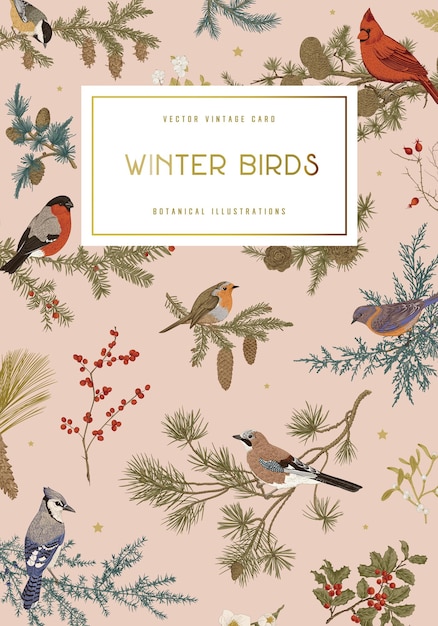 Vector vintage vector card winter birds botanical illustrations oral color