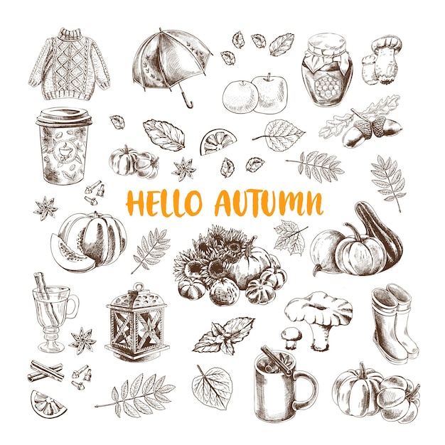 A vintage vector illustration set of fall icons Hand drawn illustration