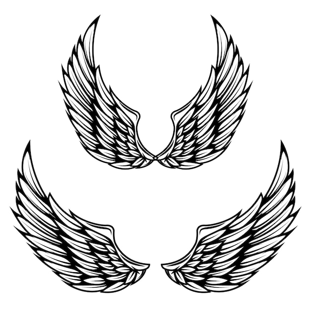 Vintage vleugels op witte achtergrond. elementen voor logo, label, embleem, teken, merkmarkering.