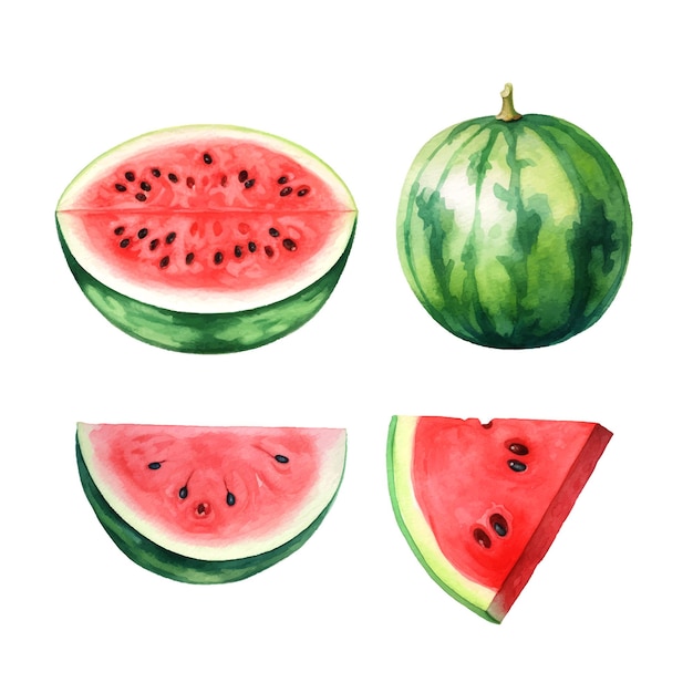 Vintage watermeloen aquarel geweldig ontwerp voor elk doel