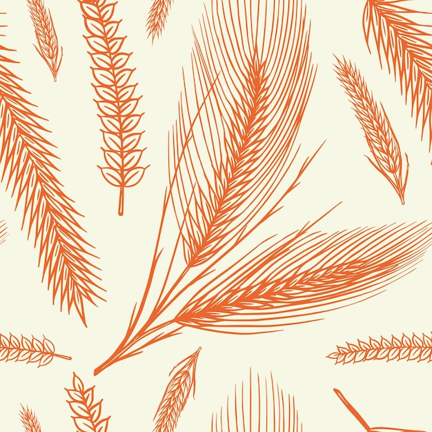 ビンテージ小麦シームレス パターン ライ麦背景トウモロコシまたはベーカリー ポスター用穀物印刷ラベルまたはバッジのレトロなシンボルの手描きの彫刻スケッチ