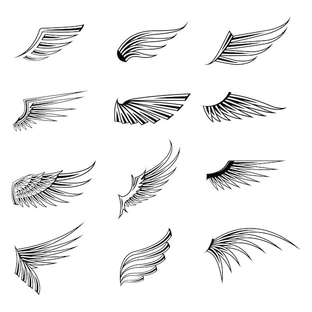 Vector vintage wings icon set isolated