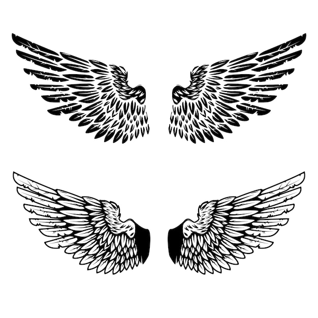 Vector vintage wings  on white background.  elements for logo, label, emblem, sign, brand mark.  illustration.