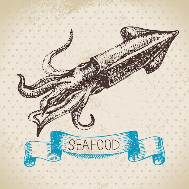 Vintage zee achtergrond Hand getrokken schets zeevruchten vectorillustratie van squid